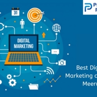 website designing company in meerut