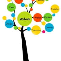 Website solutions Delhi