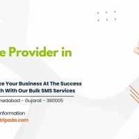 Why Shree Tripada is Considered as the Best Bulk SMS Service Provider in Bangalore?