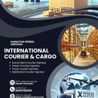 international courier service velachery