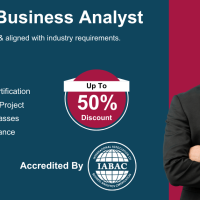Certified Business Analyst Training In Bangalore