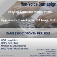 Non-voice Campaign