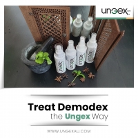 Ungex Protocol