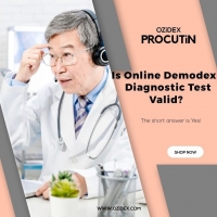 Is the online Demodex Diagnostic Test valid?