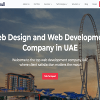 Professional Web Development UAE Services for Your Business